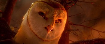 Movie still from “Legend of the Guardians: The Owls of Ga'Hoole” (2010), directed by Zack Snyder – An owl's face in the dark; Extreme Close Up shot, Low angle