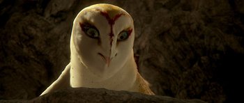Movie still from “Legend of the Guardians: The Owls of Ga'Hoole” (2010), directed by Zack Snyder – An owl's face in a cave; Extreme Close Up shot, High angle