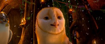 Movie still from “Legend of the Guardians: The Owls of Ga'Hoole” (2010), directed by Zack Snyder – An image of an owl in the woods; Extreme Close Up shot, High angle