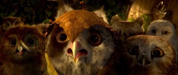Movie still from “Legend of the Guardians: The Owls of Ga'Hoole” (2010), directed by Zack Snyder – An owl wearing a leaf hat; Extreme Close Up shot, High angle