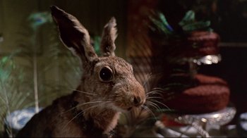 Movie still from “Lisa and the Devil” (1973), directed by Mario Bava – A stuffed animal bunny rabbit; Close Up shot, Low angle