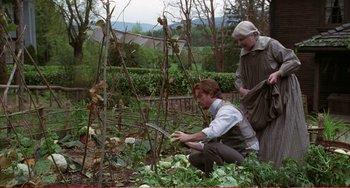 Movie still from “Little Women” (1994), directed by Gillian Armstrong – A man and a woman are in a garden; Wide shot, High angle