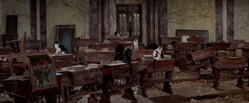 Movie still from “Logan's Run” (1976), directed by Michael Anderson – A group of cats sitting on top of wooden benches; Wide shot, High angle