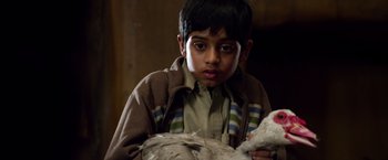 Movie still from “Lone Survivor” (2013), directed by Peter Berg – A young boy holding an animal in his hands; Close Up shot, Over the shoulder angle