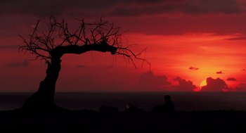 Movie still from “Lord of the Flies” (1990), directed by Harry Hook – A person sitting under a tree in front of a red sky; Extreme Wide shot, Low angle