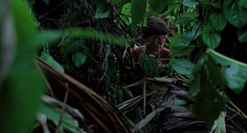 Movie still from “Lord of the Flies” (1990), directed by Harry Hook – A young man in the woods looking at a plant; Medium shot, High angle