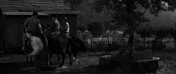 Movie still from “Love Me Tender” (1956), directed by Robert D. Webb – A man and a woman on a horse in the woods; Wide shot, Low angle