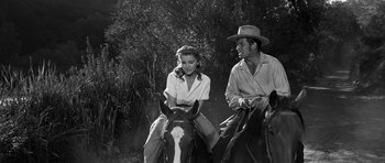 Movie still from “Love Me Tender” (1956), directed by Robert D. Webb – A man and a woman on a horse in a field; Medium shot, Low angle