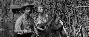 Movie still from “Love Me Tender” (1956), directed by Robert D. Webb – A man and a woman standing next to each other on a horse; Medium shot, Low angle