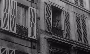 Movie still from “Love on the Run” (1979), directed by François Truffaut – A cat sitting on a window ledge looking out of an old building; Wide shot, Low angle