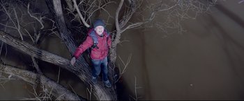 Movie still from “Loveless” (2017), directed by Andrey Zvyagintsev – A man standing on top of a dead tree at night; Wide shot, Overhead angle