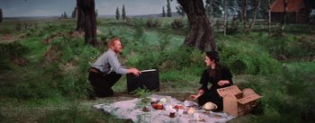 Movie still from “Lust for Life” (1956), directed by George Cukor – A man and a woman sitting on a blanket in the grass; Wide shot, High angle