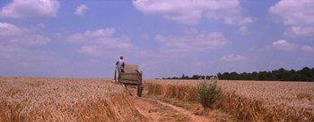 Movie still from “Lust for Life” (1956), directed by George Cukor – A man sitting on top of a wooden cart in the middle of a field; Extreme Wide shot, High angle