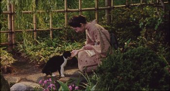 Movie still from “Madadayo” (1993), directed by Akira Kurosawa – A woman petting a black and white cat in a garden; Medium shot, High angle