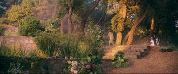Movie still from “Magic in the Moonlight” (2014), directed by Woody Allen – A woman walking down a path in a forest; Extreme Wide shot, High angle