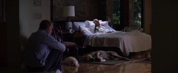 Movie still from “Magnolia” (1999), directed by Paul Thomas Anderson – A man and a dog laying on the floor next to a bed; Wide shot, High angle