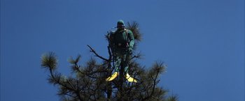 Movie still from “Magnolia” (1999), directed by Paul Thomas Anderson – A man in a scuba suit is standing in a tree; Wide shot, Low angle