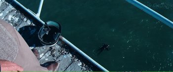 Movie still from “Magnum Force” (1973), directed by Ted Post – A person standing next to a body of water; Extreme Wide shot, Overhead angle