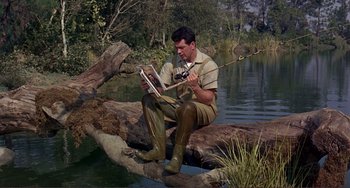 Movie still from “Man's Favorite Sport?” (1964), directed by Howard Hawks – A man sitting on top of a tree branch reading a book; Medium shot, High angle