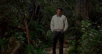 Movie still from “Man's Favorite Sport?” (1964), directed by Howard Hawks – A man standing in the middle of a forest; Wide shot, High angle