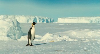 Movie still from “March of the Penguins” (2005), directed by Luc Jacquet – A penguin standing on top of a snow covered slope; Extreme Wide shot, Low angle