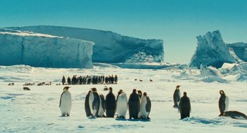 Movie still from “March of the Penguins” (2005), directed by Luc Jacquet – A group of penguins standing on top of a snow covered ground; Extreme Wide shot, High angle