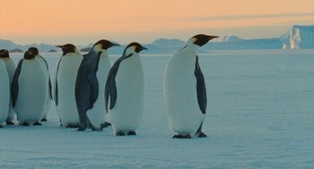Movie still from “March of the Penguins” (2005), directed by Luc Jacquet – A group of penguins standing on top of a snow covered ground; Wide shot, Low angle