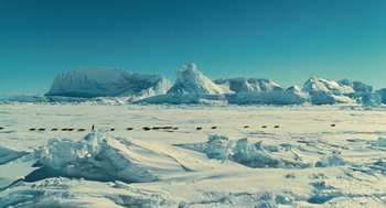 Movie still from “March of the Penguins” (2005), directed by Luc Jacquet – A herd of wild animals walking across a snow covered field; Extreme Wide shot, High angle