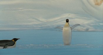 Movie still from “March of the Penguins” (2005), directed by Luc Jacquet – A penguin standing in the middle of the ocean; Wide shot, Low angle
