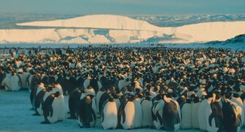 Movie still from “March of the Penguins” (2005), directed by Luc Jacquet – A large group of penguins gathered together in the snow; Extreme Wide shot, High angle