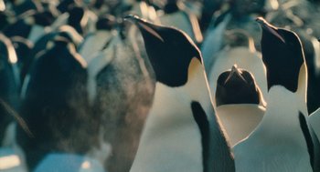 Movie still from “March of the Penguins” (2005), directed by Luc Jacquet – A flock of penguins in the water; Extreme Close Up shot, Low angle