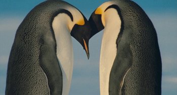 Movie still from “March of the Penguins” (2005), directed by Luc Jacquet – A couple of penguins that are in the air; Extreme Close Up shot, Low angle