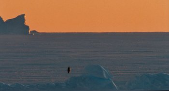Movie still from “March of the Penguins” (2005), directed by Luc Jacquet – An animal standing on top of a snow covered field; Extreme Wide shot, High angle