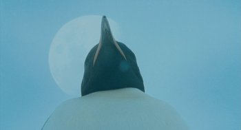 Movie still from “March of the Penguins” (2005), directed by Luc Jacquet – A bird with a long beak is looking up at the sky; Medium shot, Low angle