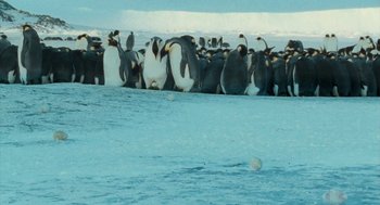 Movie still from “March of the Penguins” (2005), directed by Luc Jacquet – A flock of penguins standing on top of a body of water; Wide shot, High angle