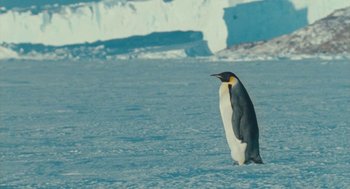 Movie still from “March of the Penguins” (2005), directed by Luc Jacquet – A penguin is standing in the snow near a body of water; Wide shot, Low angle
