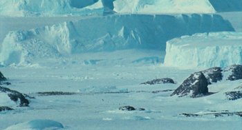 Movie still from “March of the Penguins” (2005), directed by Luc Jacquet – A large amount of ice is on the ground; Extreme Wide shot, High angle