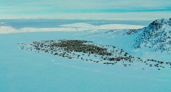 Movie still from “March of the Penguins” (2005), directed by Luc Jacquet – A large herd of animals in the snow; Extreme Wide shot, Overhead angle