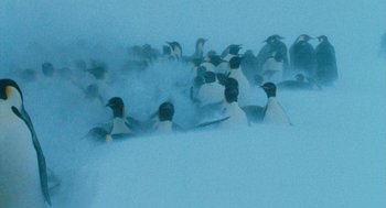 Movie still from “March of the Penguins” (2005), directed by Luc Jacquet – A group of penguins in the snow; Extreme Wide shot, High angle