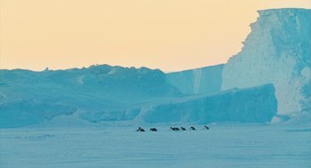 Movie still from “March of the Penguins” (2005), directed by Luc Jacquet – A group of animals walking across a snow covered field; Extreme Wide shot, High angle