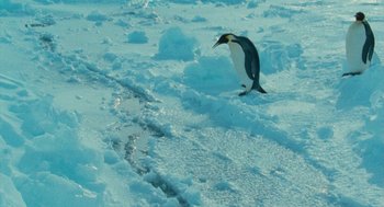 Movie still from “March of the Penguins” (2005), directed by Luc Jacquet – A penguin is walking on the snow covered ground; Extreme Wide shot, High angle