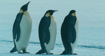 Movie still from “March of the Penguins” (2005), directed by Luc Jacquet – A group of penguins standing on top of a snow covered ground; Medium shot, Low angle