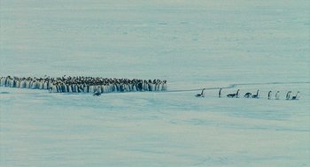 Movie still from “March of the Penguins” (2005), directed by Luc Jacquet – A flock of birds standing on top of a snow covered ground; Extreme Wide shot, High angle
