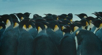 Movie still from “March of the Penguins” (2005), directed by Luc Jacquet – A flock of penguins standing in the middle of a field; Extreme Wide shot, High angle