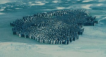 Movie still from “March of the Penguins” (2005), directed by Luc Jacquet – A large group of penguins gathered together in a circle; Extreme Wide shot, Overhead angle