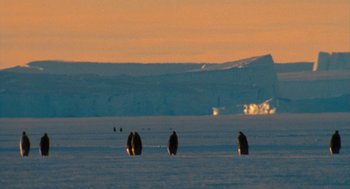 Movie still from “March of the Penguins” (2005), directed by Luc Jacquet – A group of penguins walking across a snow covered field; Extreme Wide shot, High angle