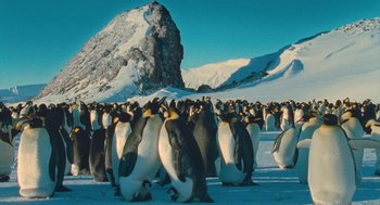 Movie still from “March of the Penguins” (2005), directed by Luc Jacquet – A large group of penguins standing on top of a snow covered slope; Extreme Wide shot, High angle