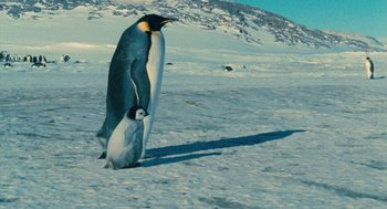 Movie still from “March of the Penguins” (2005), directed by Luc Jacquet – A penguin and its chick in the snow; Wide shot, Low angle