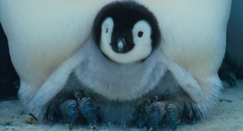 Movie still from “March of the Penguins” (2005), directed by Luc Jacquet – A baby penguin sitting on top of the ground; Extreme Close Up shot, High angle