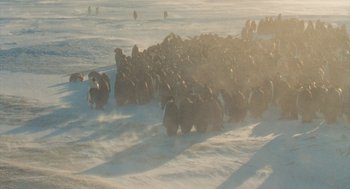 Movie still from “March of the Penguins” (2005), directed by Luc Jacquet – A herd of wild animals walking across a snow covered field; Extreme Wide shot, High angle